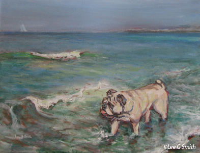 Bulldog Ocean Wader