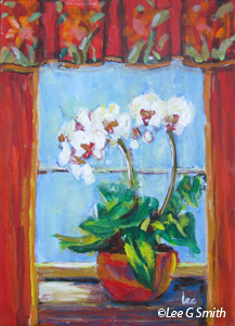Orchid in Window