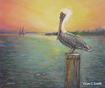 Pelican in Sunset