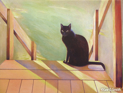 Black Cat and Shadows
