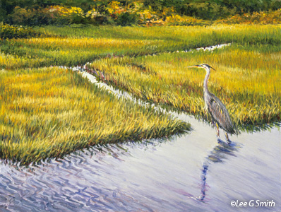 Great Blue Heron at Red River Marsh