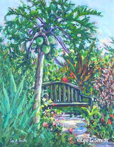 Papaya Tree and Bench at Heathcote