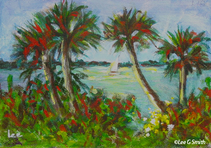 Pelican Island Palms