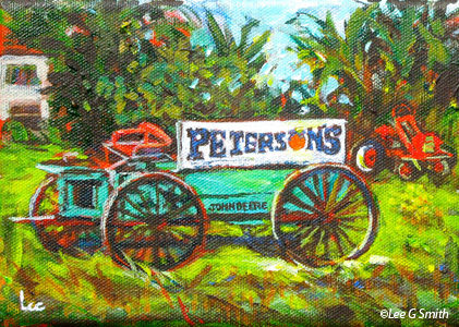 Peterson's Grove Wagon