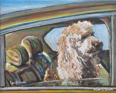 Poodle In Car