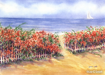 Seaside Roses