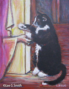 Tuxedo Cat and Hand