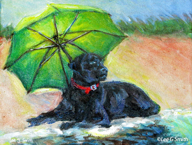 Umbrella and Black Dog