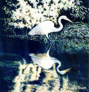 White Heron, Her Reflection