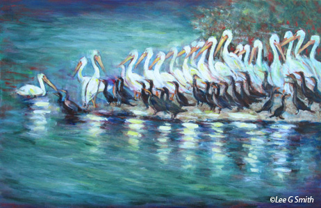 White Pelicans and Cormorants Lineup