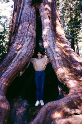 Rich Smith inside a Sequoia Tree